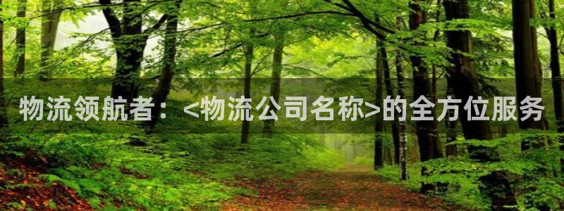 28圈官网多少：物流领航者：<物流公