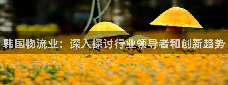 28圈如何退款：韩国物流业：深入探讨