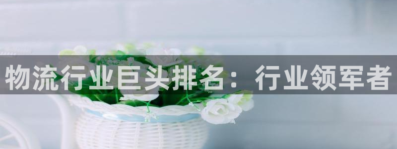 28圈注册网页版：物流行业巨头排名：
