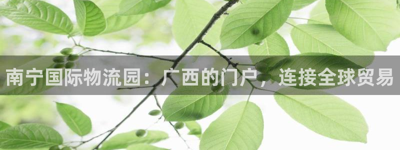 28圈官网平台下载