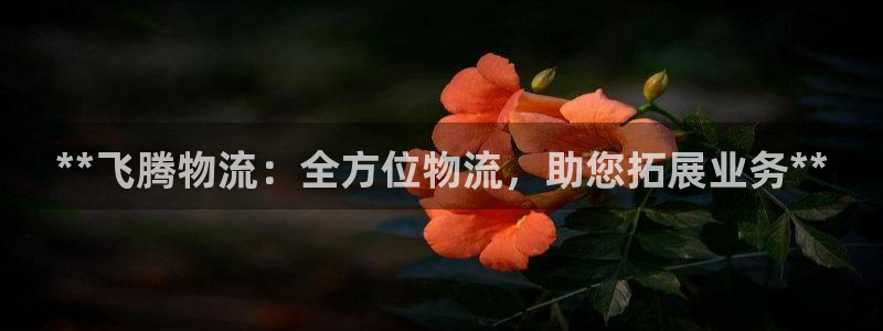 28圈选28ng官网
