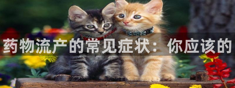 28圈app能退款吗：药物流产的常见