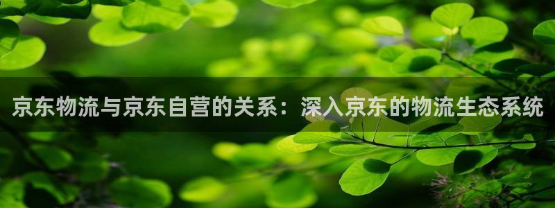 28圈注册用户名是什么：京东物流与京