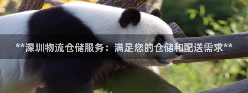 28圈官方官网版：**深圳物流仓储服