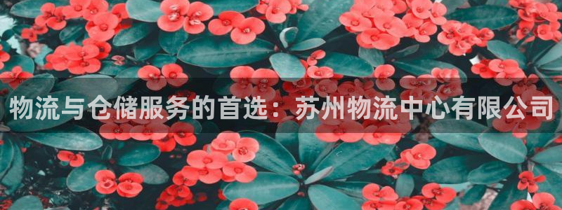 28圈登录网：物流与仓储服务的首选：