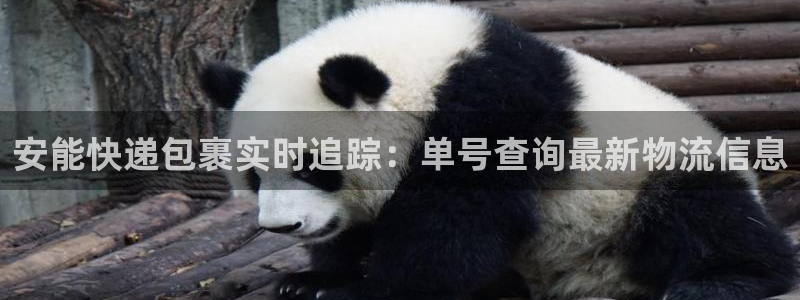 28圈软件有什么用：安能快递包裹实时