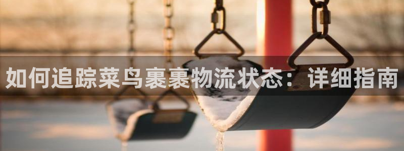 28圈能退款吗：如何追踪菜鸟裹裹物流