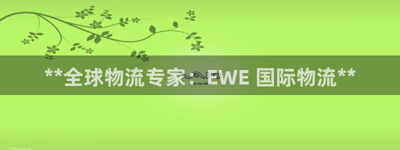 28圈v6能卖多少：**全球物流专家