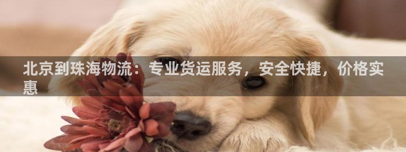 28圈黑不黑：北京到珠海物流：专业货