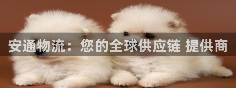 28圈注册网页版：安通物流：您的全球