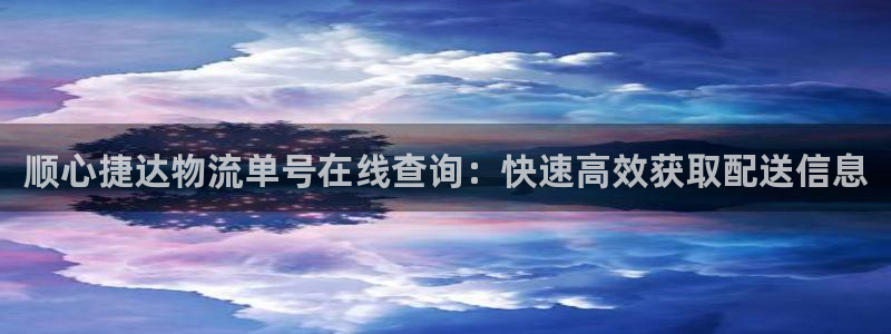 28圈p扣款什么意思：顺心捷达物流单