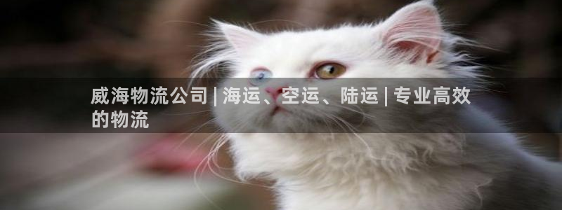 28圈加拿大预测：威海物流公司 | 