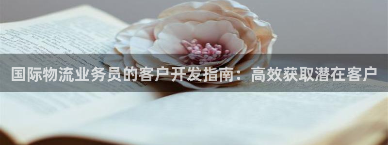 28圈平台注册：国际物流业务员的客户