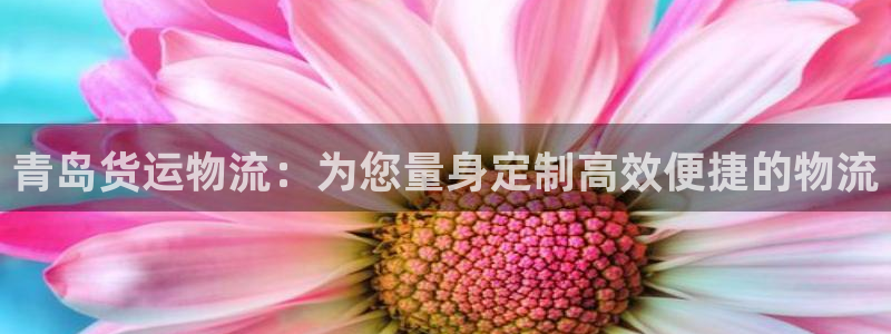 28圈软件堵什么反什么：青岛货运物流