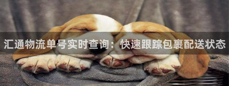 28圈注册链接教程：汇通物流单号实时