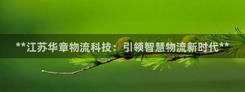 28圈官网链接：**江苏华章物流科技