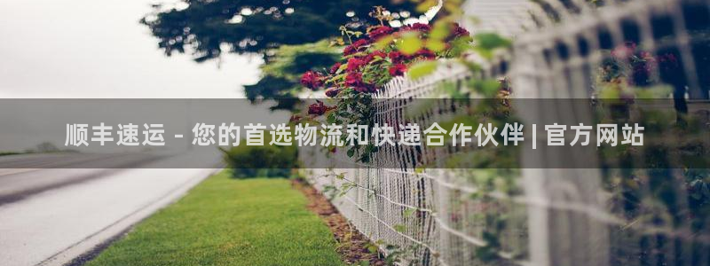 28圈是正规软件吗：顺丰速运 - 您