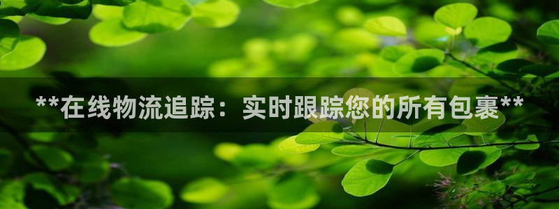28圈模拟器下载：**在线物流追踪：