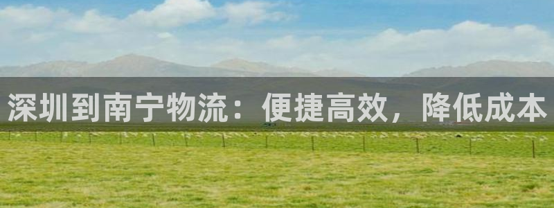 28圈登录：深圳到南宁物流：便捷高效