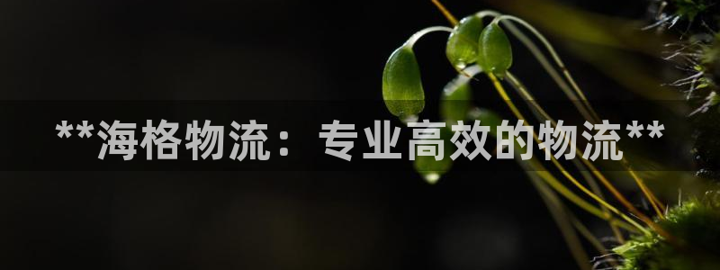 28圈提现不到账：**海格物流：专业