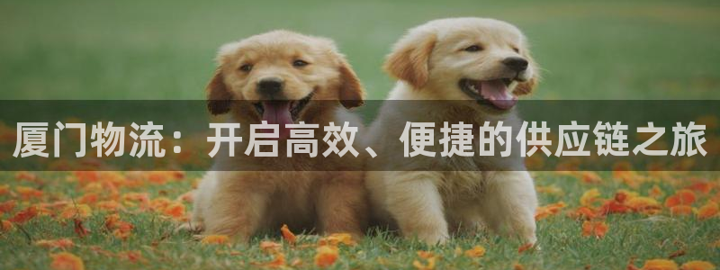 28圈充值不到账什么原因：厦门物流：