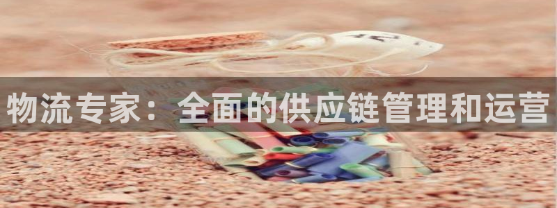 28圈官方版网站：物流专家：全面的供