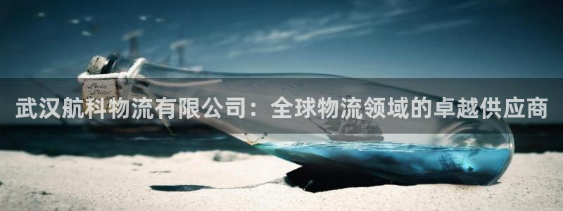 28圈反水什么时候到：武汉航科物流有