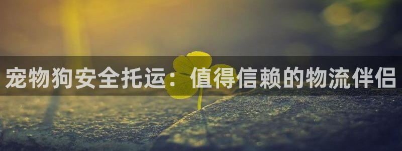 28圈稳吗：宠物狗安全托运：值得信赖
