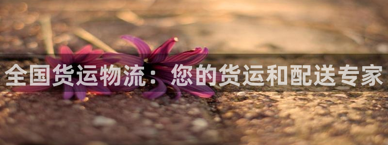 28圈p扣款什么意思：全国货运物流：