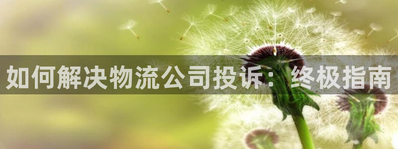 28圈分分28输了能不能退：如何解决