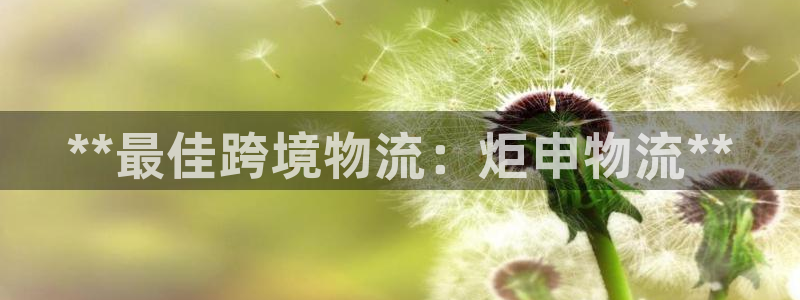 28圈加拿大：**最佳跨境物流：炬申