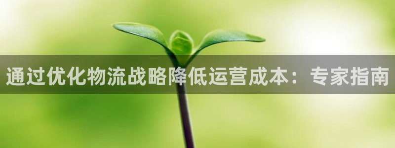 28圈相信品牌的力量：通过优化物流战