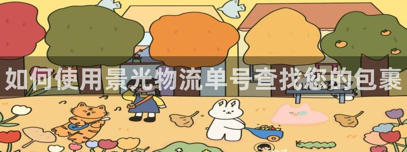28圈注册官网：如何使用景光物流单号