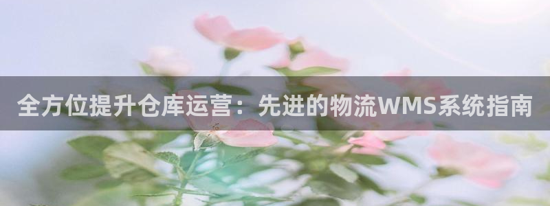 28圈比特28预测在线预测：全方位提
