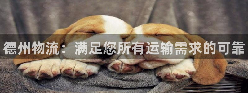 28圈官方官网：德州物流：满足您所有