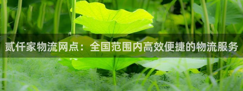 28圈注册网页：贰仟家物流网点：全国