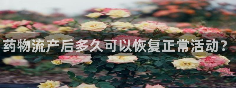 28圈旗下：药物流产后多久可以恢复正
