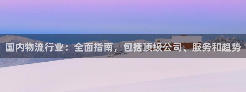 28圈百度百科：国内物流行业：全面指