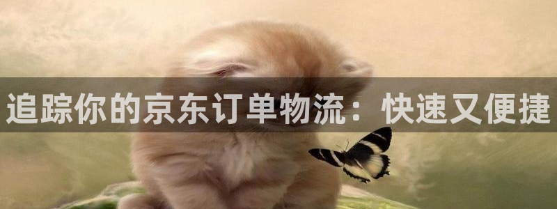 28圈南宫娱乐官网：追踪你的京东订单