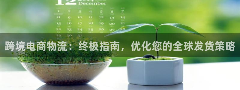 28圈网站怎么注册：跨境电商物流：终