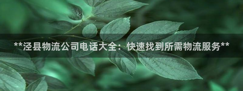 南宫28圈官网版：**泾县物流公司电