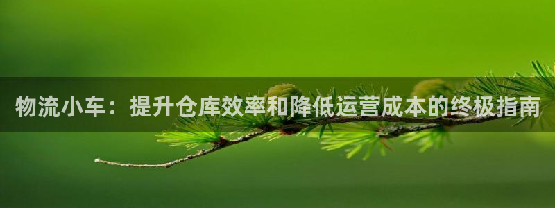 28圈充值：物流小车：提升仓库效率和