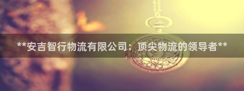 28圈官方版网站：**安吉智行物流有