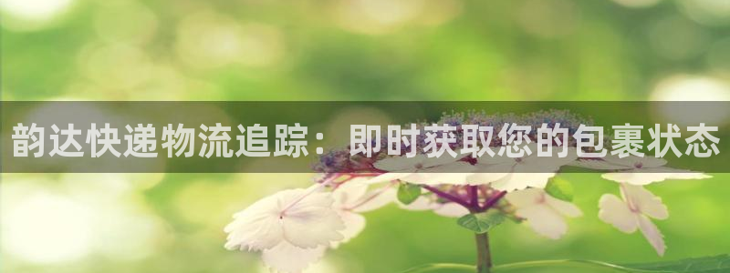 28圈注册网站谁有：韵达快递物流追踪