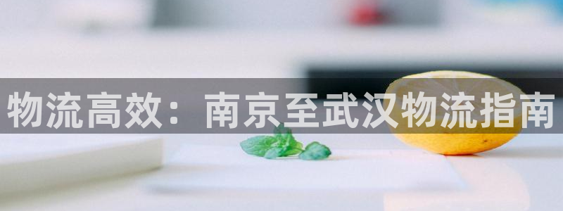 28圈注册上限是啥意思：物流高效：南