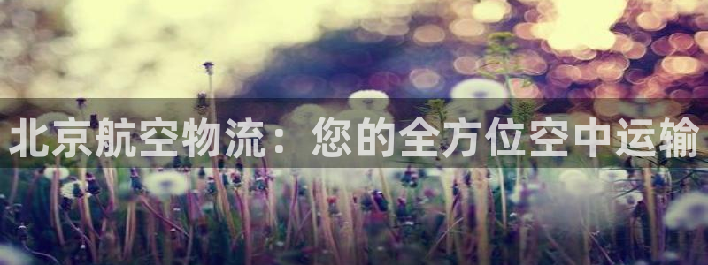 28圈模拟器：北京航空物流：您的全方