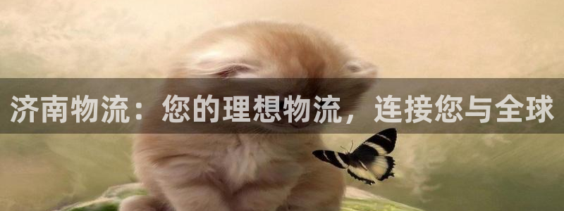 28圈黑不黑：济南物流：您的理想物流