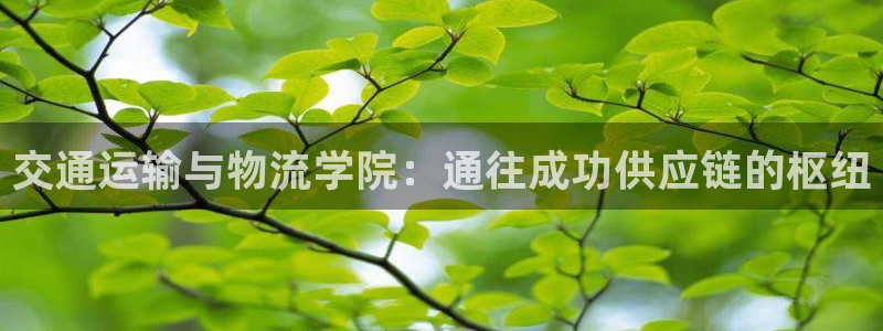 28圈下载二维码怎么弄：交通运输与物