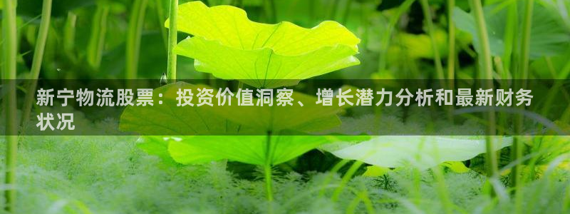 28圈登录用户名登录不上：新宁物流股