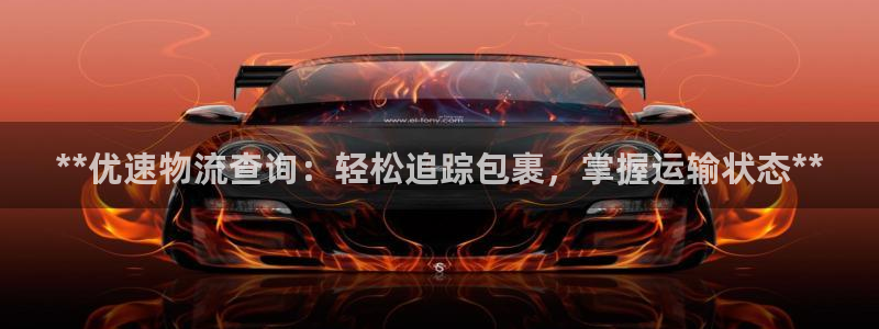 28圈注册登录：**优速物流查询：轻